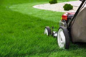 lawn mowing services Adelaide